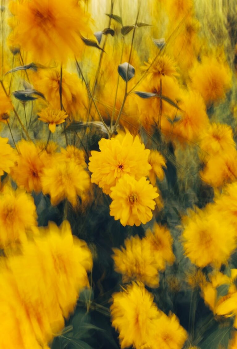 A bunch of yellow flowers in a field