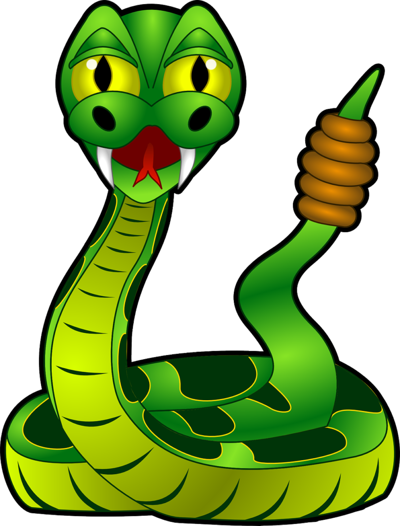 rattlesnake, snake, animal, reptile, venomous snake, wild animal, wildlife, cut out, nature, snake, snake, snake, snake, snake