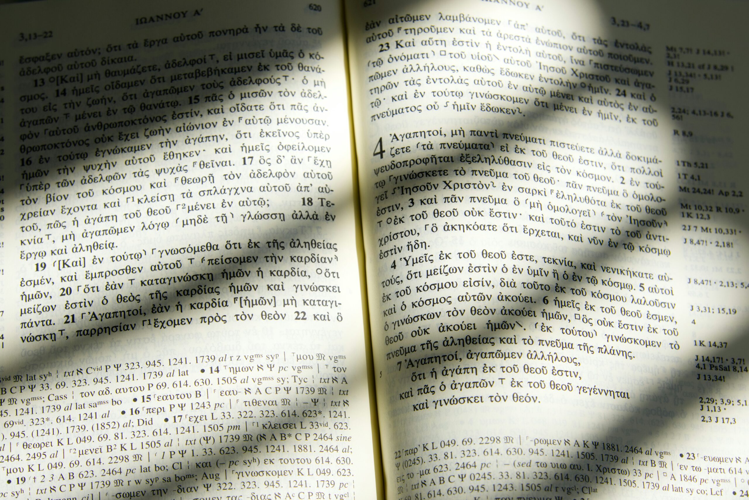 Understanding Linguistic Differences Lingustic scaled