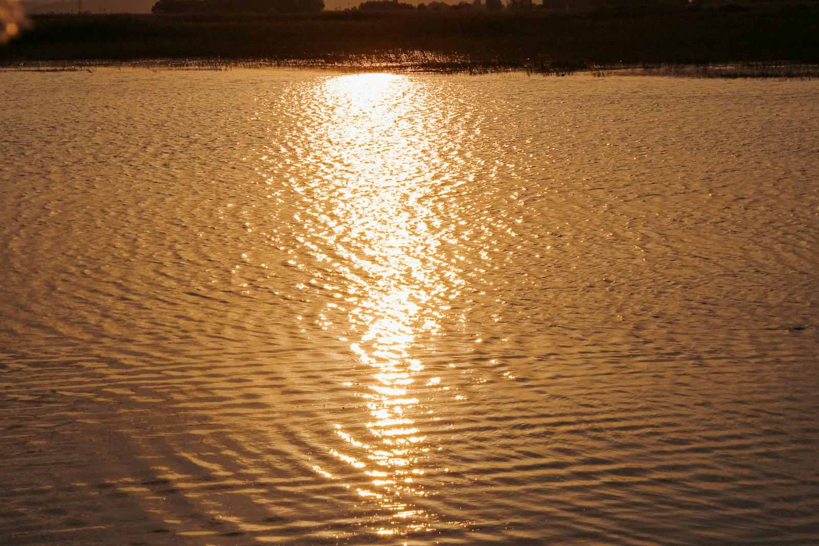 Breathtaking golden sunset reflecting on rippling water, serene nature scene.