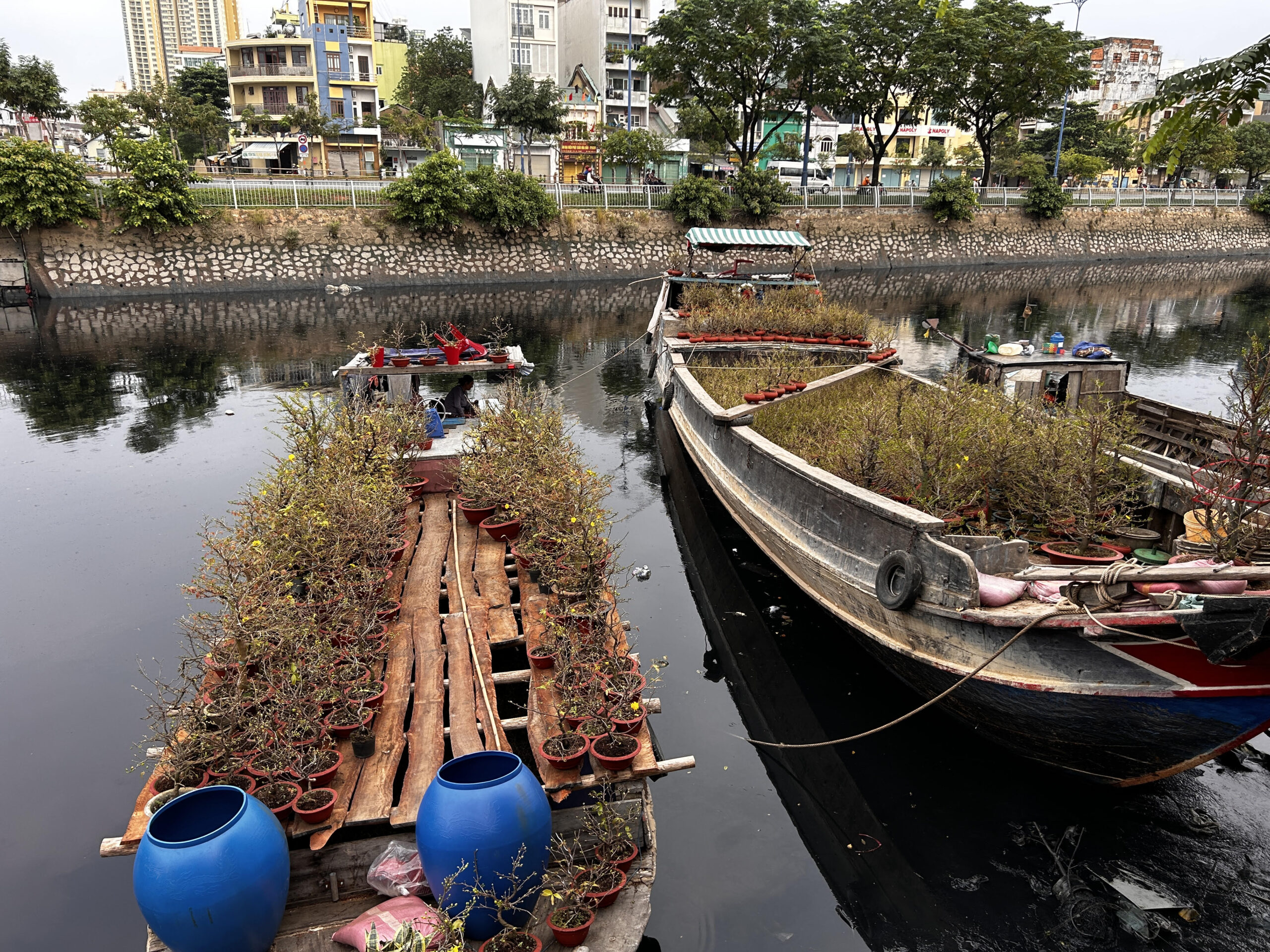 Barques avec fleurs scaled