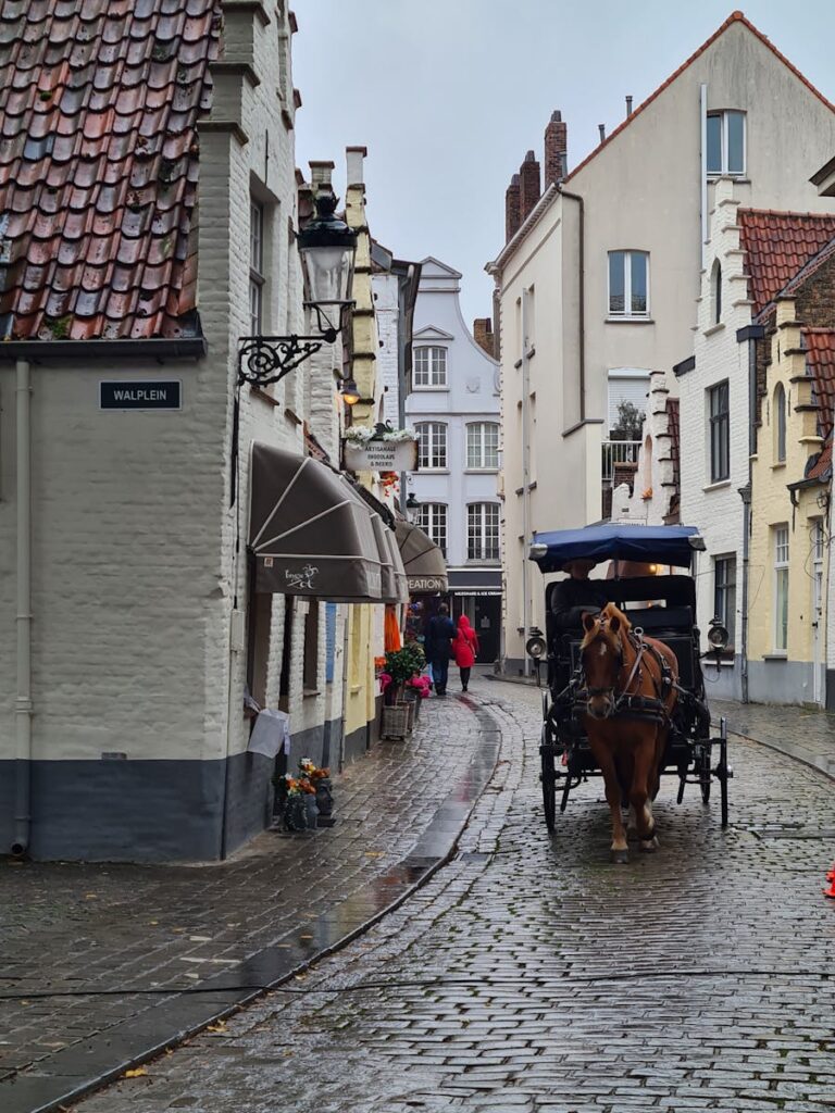 Atmospheric scene of a horse-drawn carriage on a rainy cobblestone street in Bruges, Belgium.