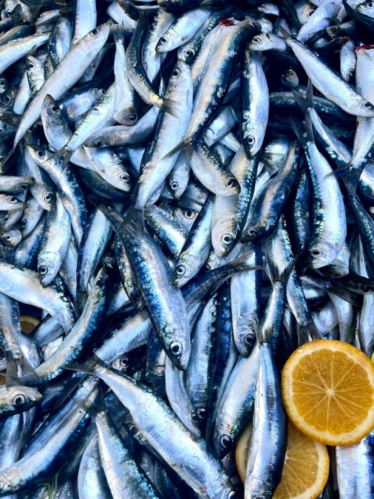 The Nopterus fish, locally known as That Lat, is a prized freshwater species in South Vietnam, cherished for its delicate flavor and versatility in traditional Mekong Delta cuisine.