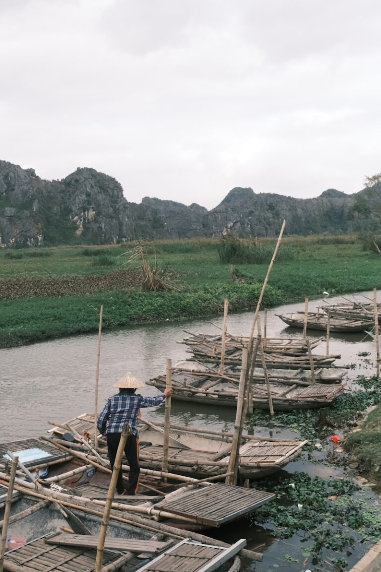 Boats are lined up along a river with mountains.