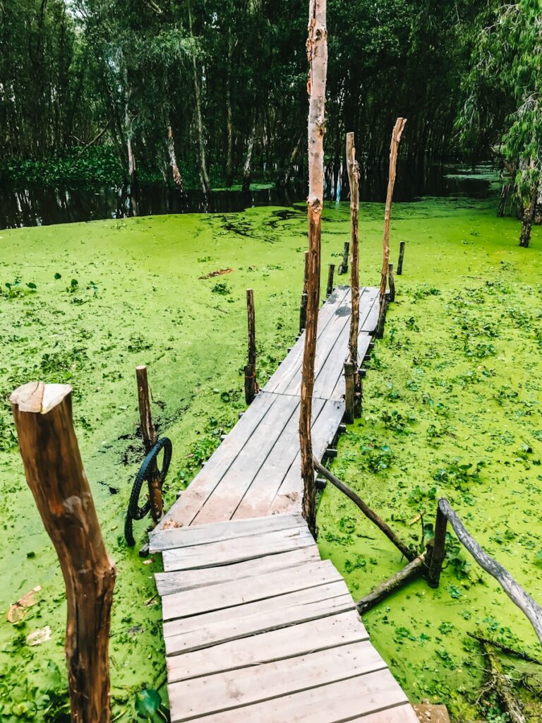 Brown wooden dock on green grass field during daytime