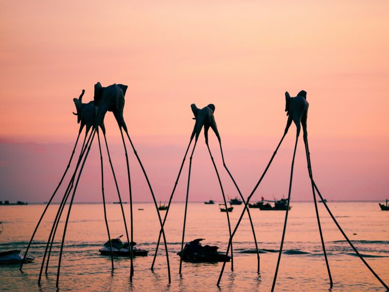 Silhouette on a sea during sunset