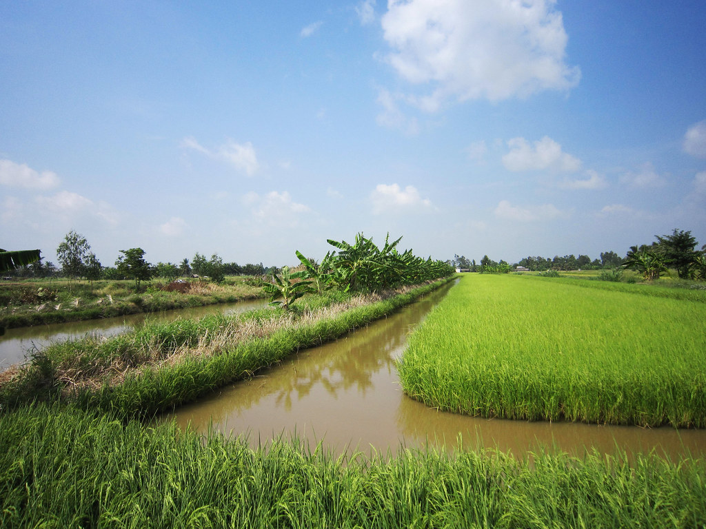 Soc Trang: The Serene Soul of the Mekong Delta Soc Trang, an untouched Mekong Delta gem, blends ancient Khmer-Vietnamese pagodas with pristine Ho Be Beach's mangroves in serene harmony.