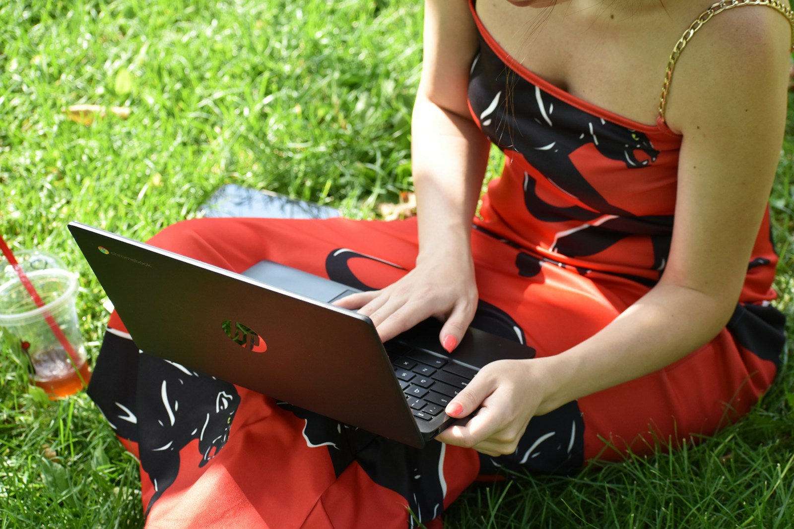 a young woman sitting on the grass using a laptop